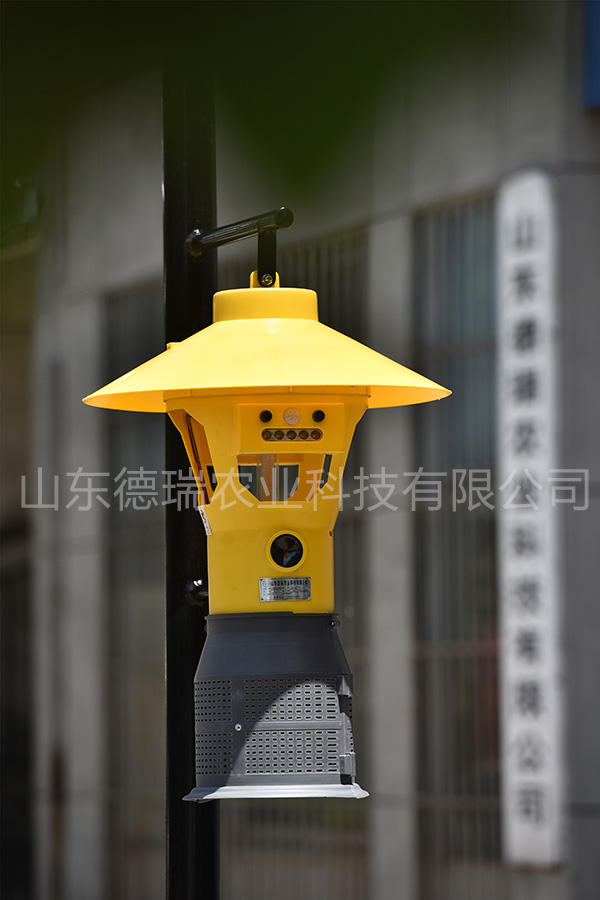 草莓视频在线播放 草莓视频在线播放